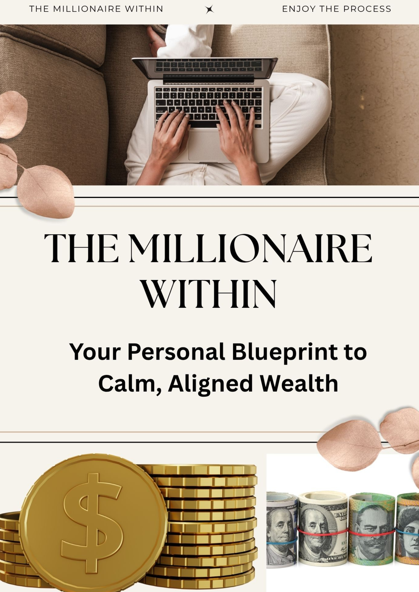 Millionaire Blueprint: Manifesting Within Bundle
